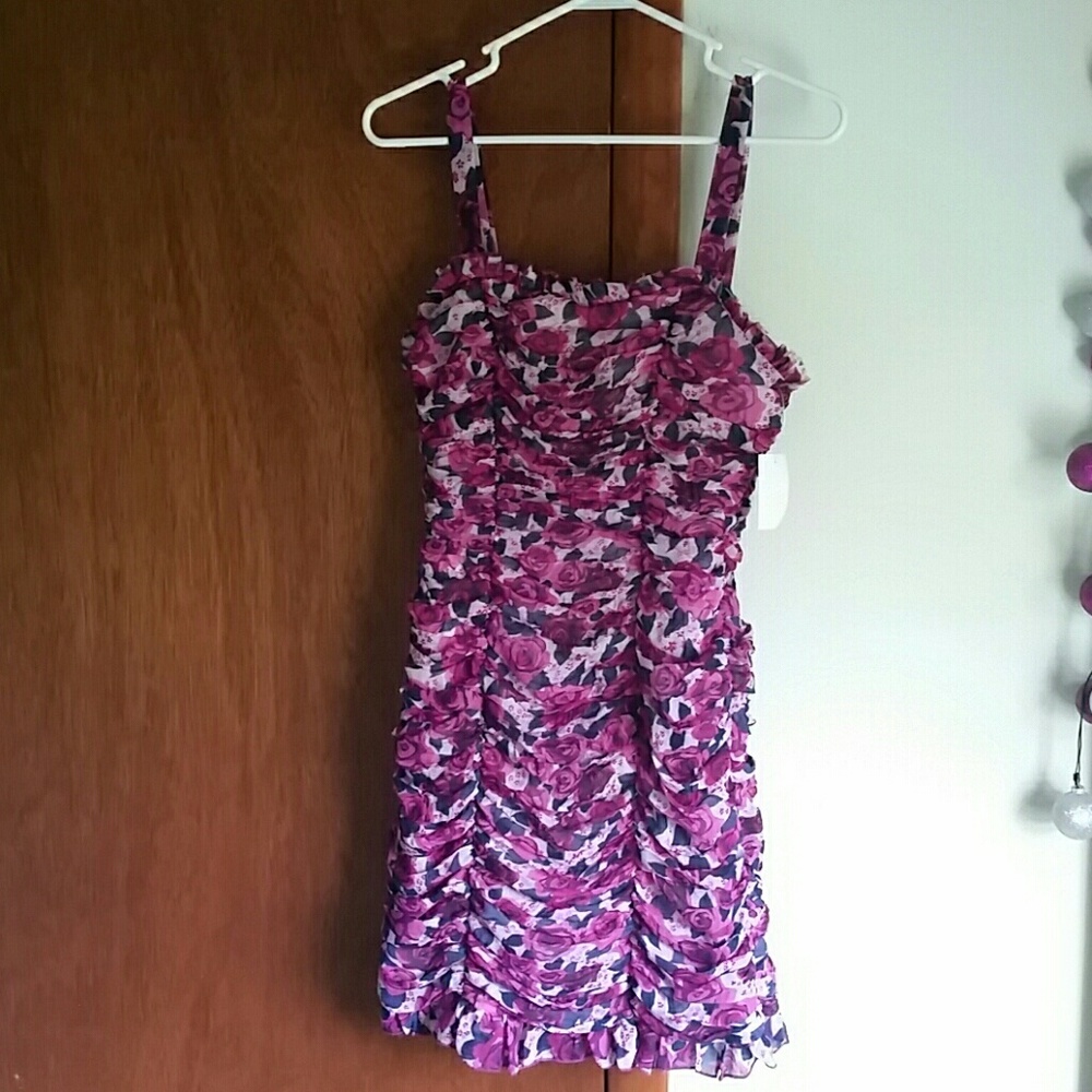 Purple rose dress. New with tags!